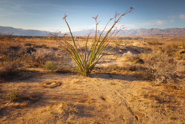 Above the Texas Dip -114