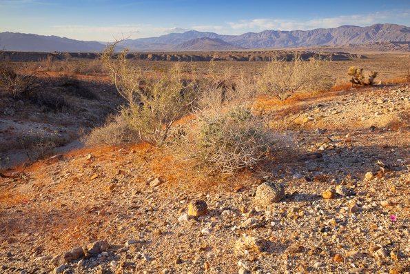 Above the Texas Dip -117