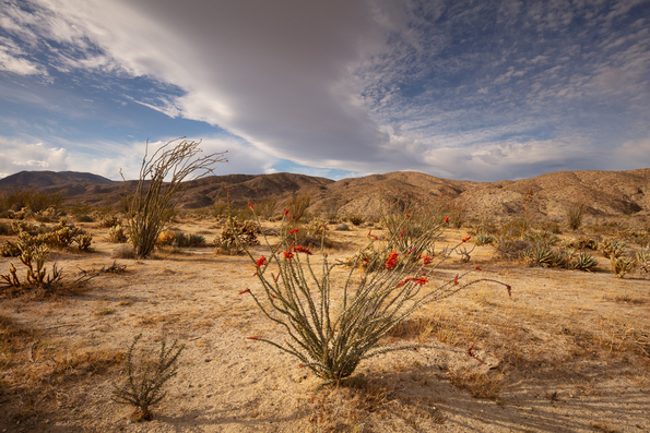 Above the Texas Dip -119