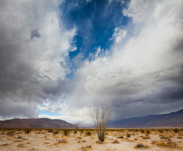 Storm Clouds above Clark Dry Lake -173