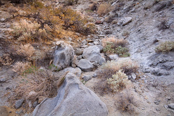Arroyo Agua Caliente -24