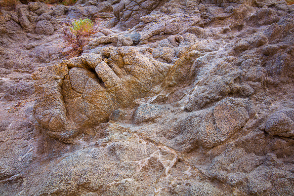 Arroyo Agua Caliente -27