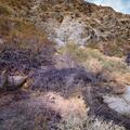 Arroyo Agua Caliente -29