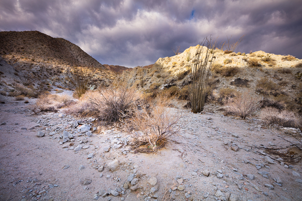 Arroyo Agua Caliente-182