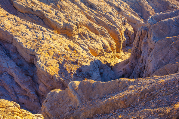Arroyo Salado North Fork overview detail -159