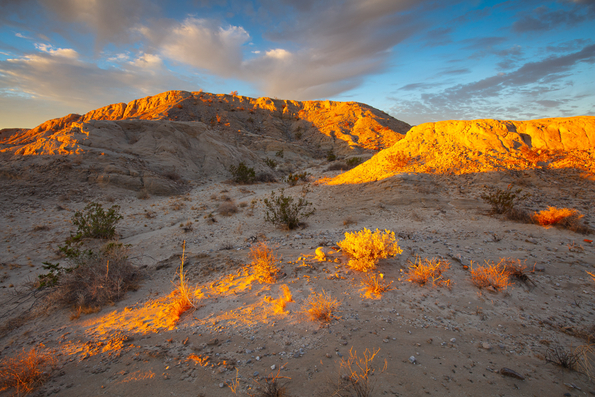 Arroyo Salado Sunrise -168