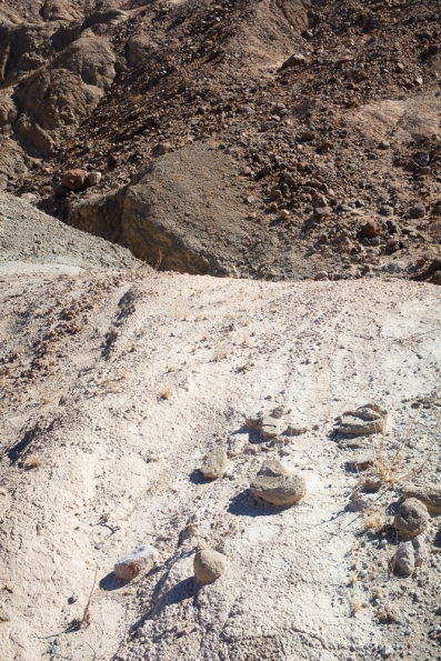 Borrego Badlands -132