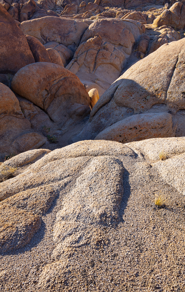Alabama Hills 2021 -17