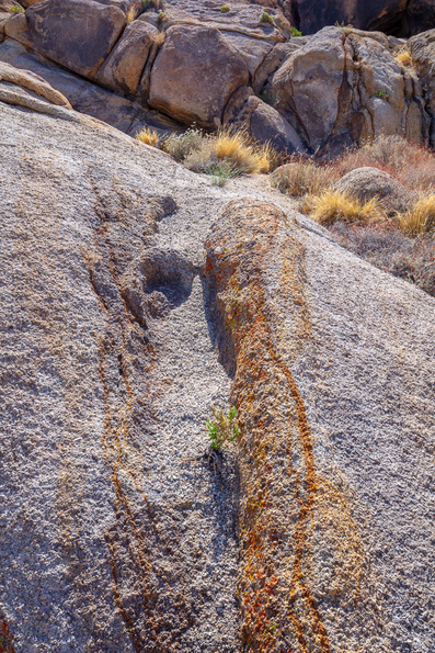 Alabama Hills 2021 -20