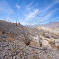 Anza Borrego State Park 2021 -25
