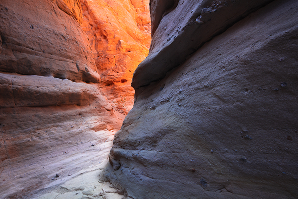 Anza Borrego 2021 -48