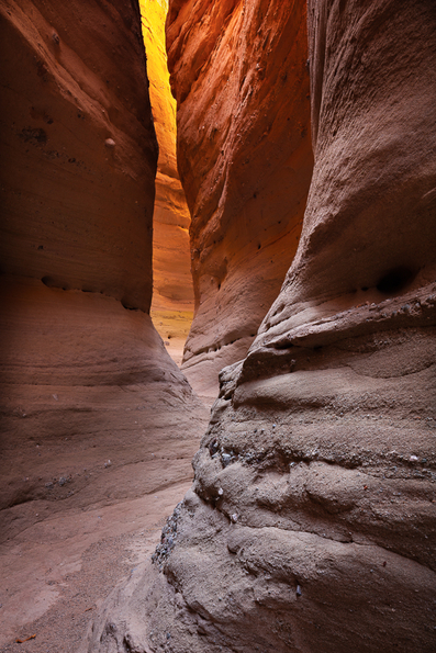 Anza Borrego 2021 -50