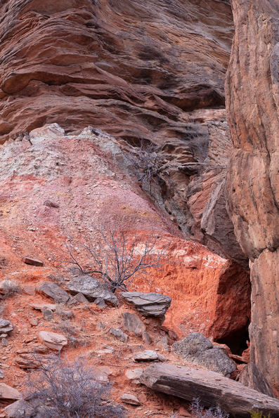 Palo Duro State Park, Texas -5