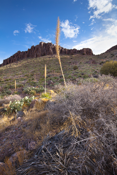 Rock Hound State Park, New Mexico -30