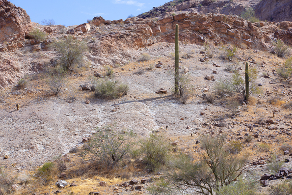 Saddle Mountain 2021 -18