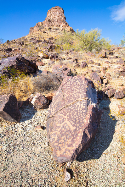 Saddle Mountain 2021 -30