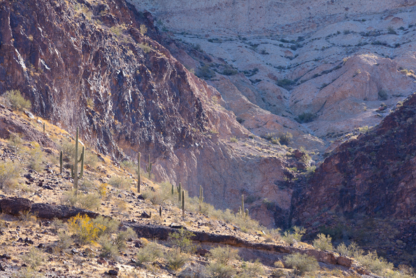 Saddle Mountain 2021 -38