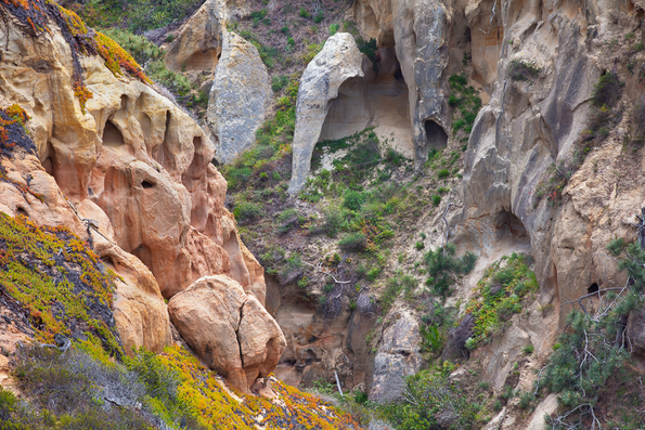 Torrey Pines State Park -1-2