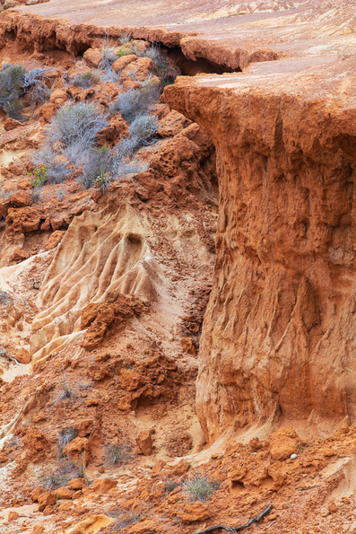 Torrey Pines State Park -63