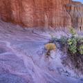 Capitol Reef-26