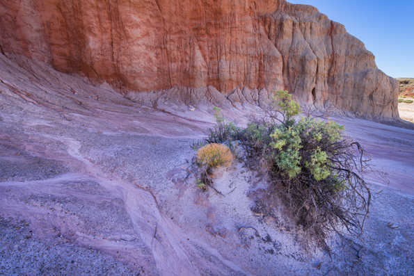 Capitol Reef-26