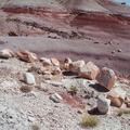 Capitol Reef-23
