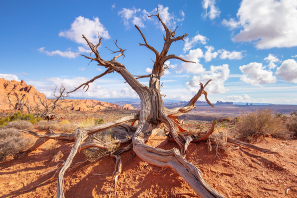 Arches National Park,  -20