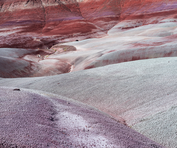 Capitol Reef National Park -43