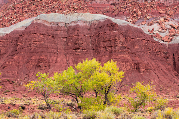 Capitol Reef National Park -82