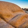 Joshua Tree National Park -29