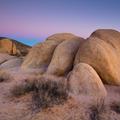 Joshua Tree National Park, Sunset -32