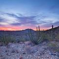 Organ Pipe National Monument, Sunset -151