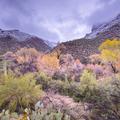 Sabino Canyon -20