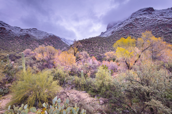 Sabino Canyon -20