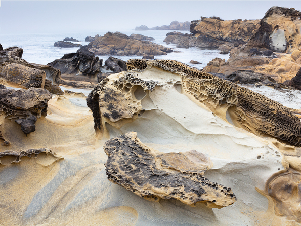 Salt Point State Park -194