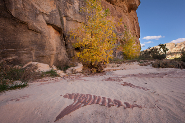 Capitol Reef-103