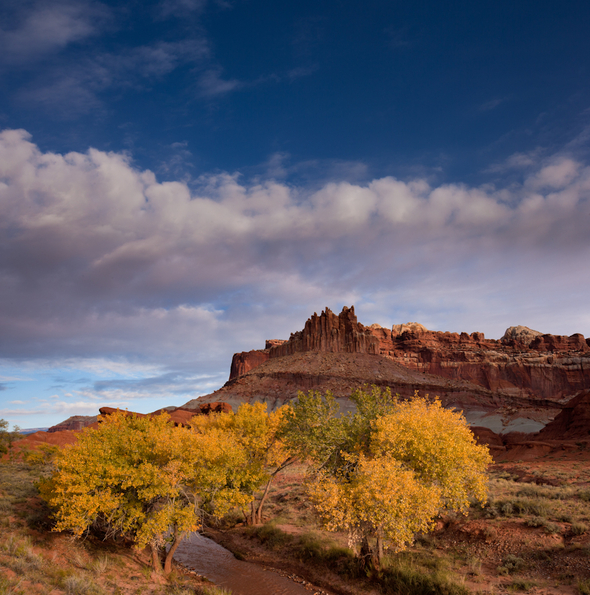 Capitol Reef-122