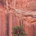 Capitol Reef-33