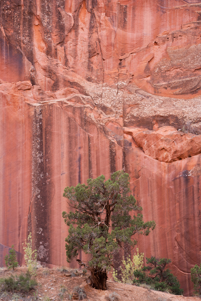 Capitol Reef-33