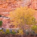 Capitol Reef-43
