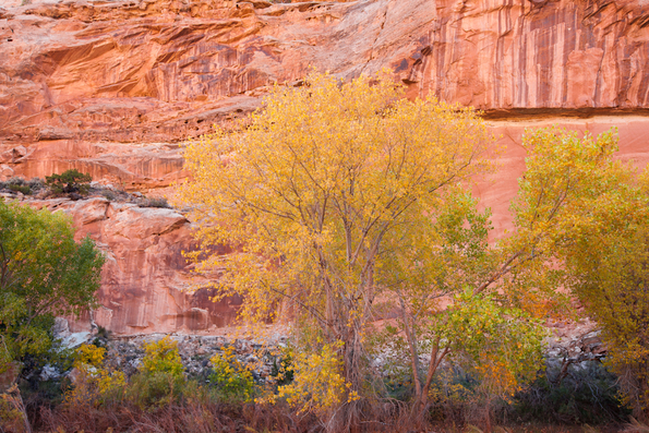 Capitol Reef-43