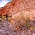 Capitol Reef-58