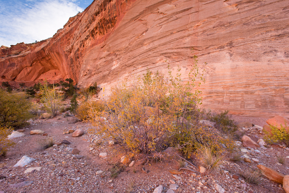 Capitol Reef-58
