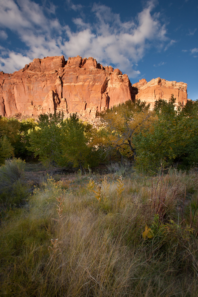 Capitol Reef-91