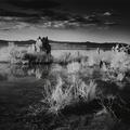 Mono Lake, "Last Light"