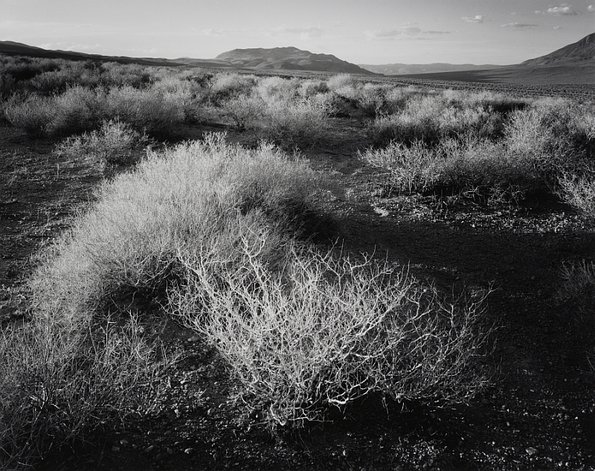  Eastern Owens Valley, Last Light