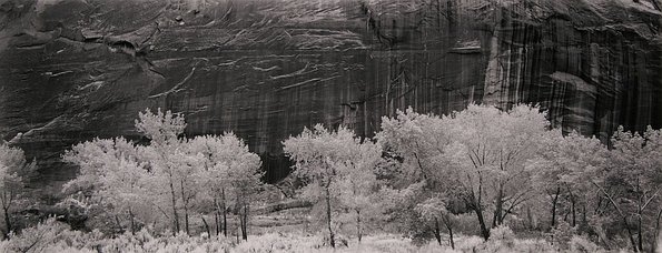 Capitol Reef National Park