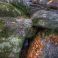 Smokies-fall-14