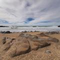 Pescadero Coast-14