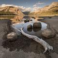 Tenaya Lake, Yosemite-5